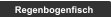 Regenbogenfisch