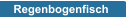 Regenbogenfisch