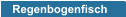 Regenbogenfisch